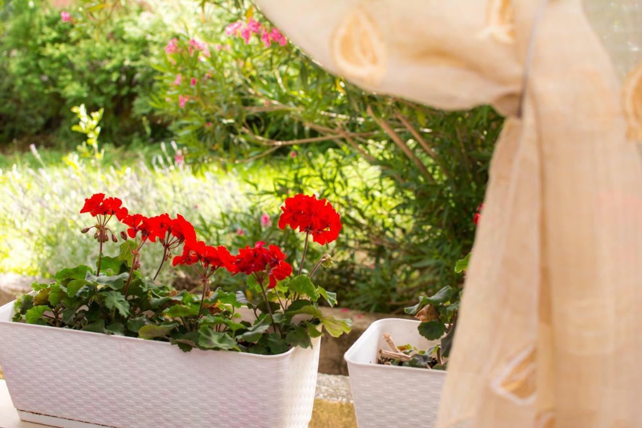 Apartment Vida - Amazing Place With Garden And Terrace Fiume Esterno foto