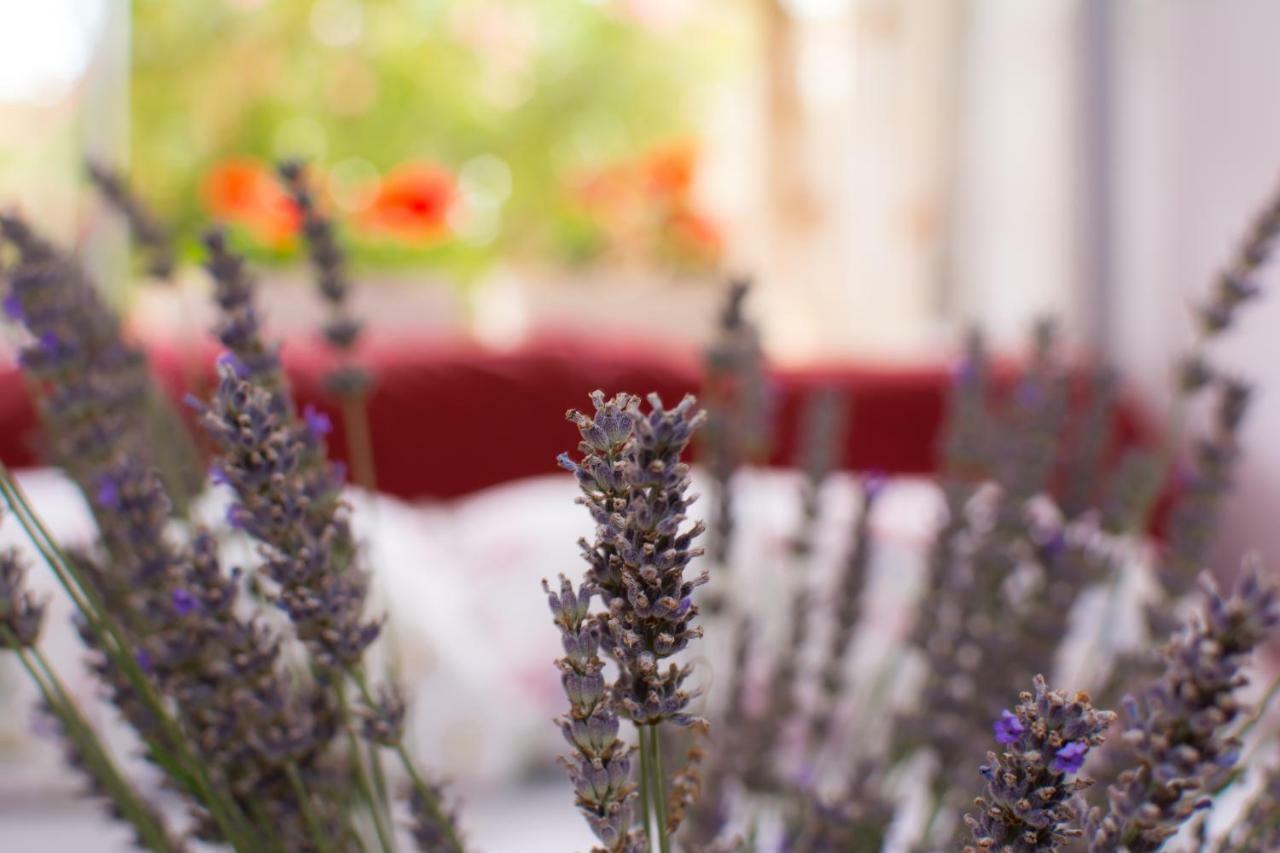 Apartment Vida - Amazing Place With Garden And Terrace Fiume Esterno foto